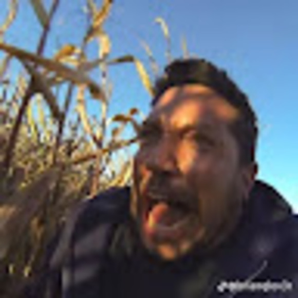 Meet your Posher, Riley - Picture 1 of 1